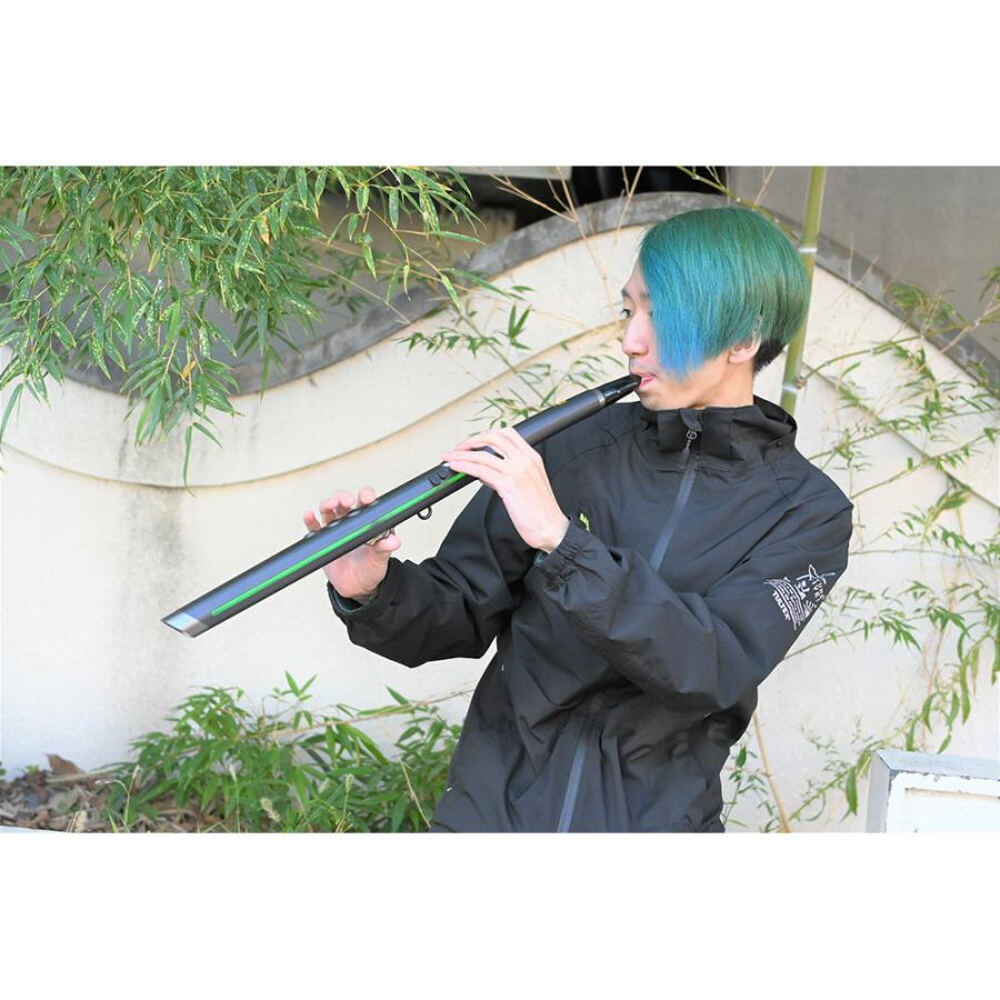 Robkoo R1【生産完了特別価格 / 横笛用マウスピースRMH87プレゼント】 : ミュージックランドKEY - 通販 - Yahoo ...