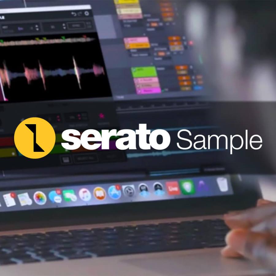 Serato Sample [メール納品]