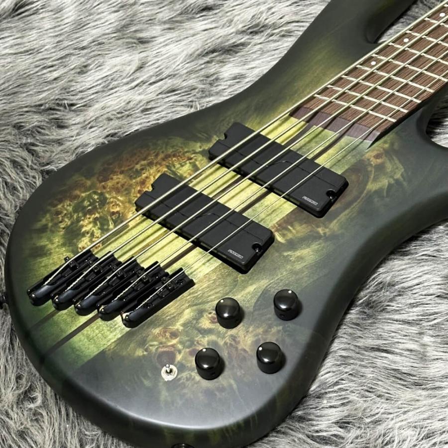 Spector NS Dimension 5  Haunted Moss Matte S/N.W220728【Fishman Fluence搭載・ダウンチューニング対応NS Dimension】｜key｜03