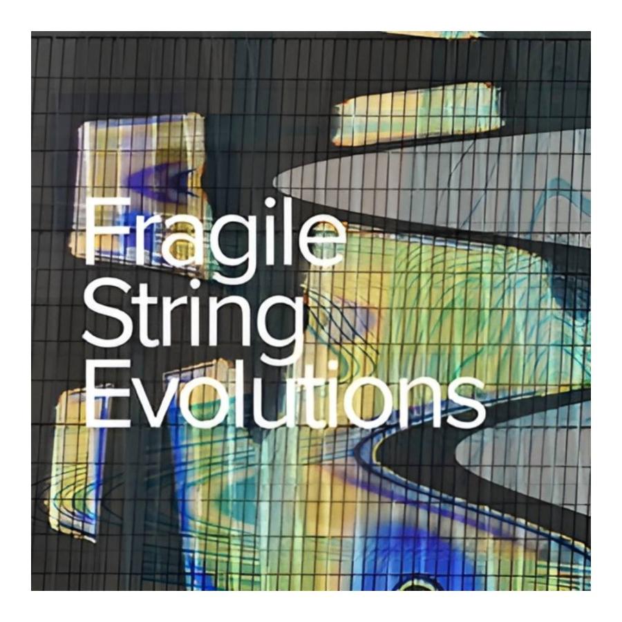 SPITFIRE AUDIO FRAGILE STRING EVOLUTIONS [メール納品] | 