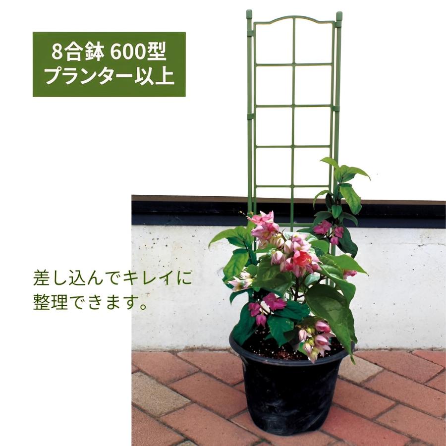 フラワーパネルトリプル 支柱 園芸 おしゃれ 長さ 花 : Key Production