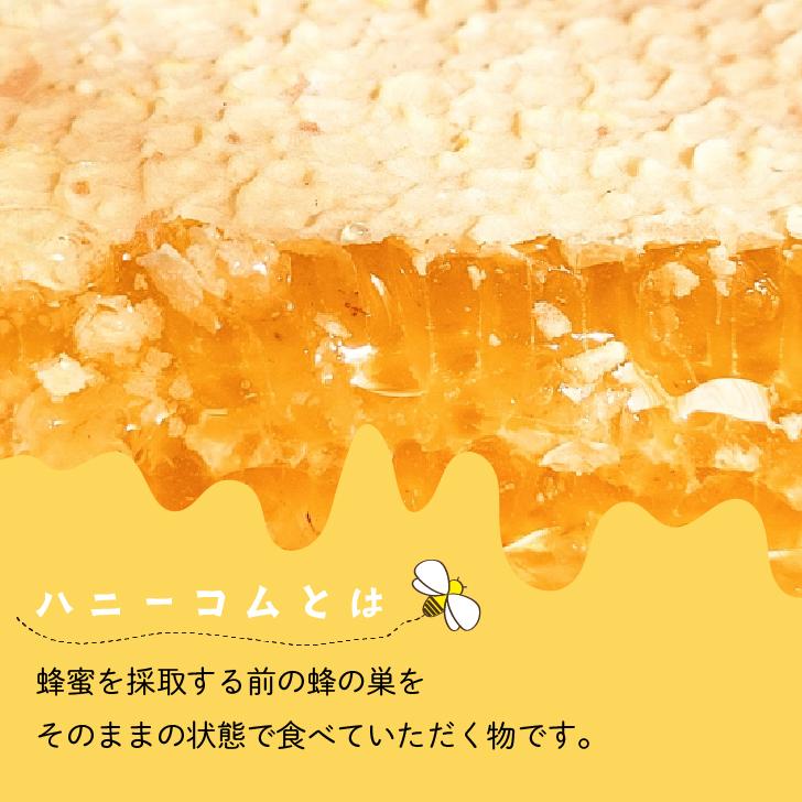 スイートハーベスト 豊産業 アカシアハニーコム 400g ×6 巣蜜 コムハニー アカシア はちみつ ハチミツ honey ポイント消化 爆買 |  | 01
