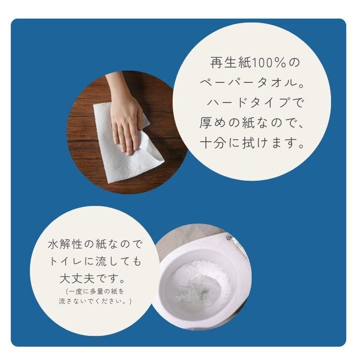 太洋紙業 ストリーム エコノミー 小判 200枚 ×40 水に流せるペーパータオル ペーパータオル ペーパー paper タオル ポイント消化 爆買 | 太洋紙業 | 02