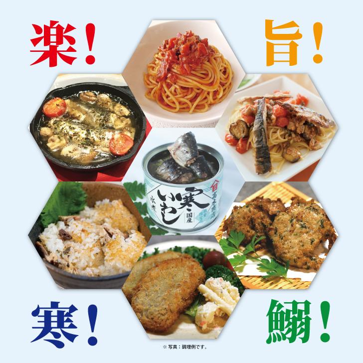 高木商店 寒いわし水煮 190g 1個 いわし イワシ 鰯 缶 かん 鰯缶