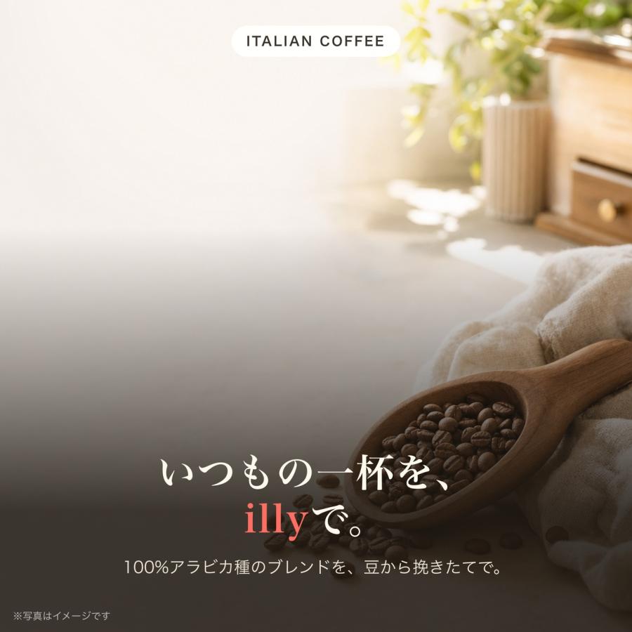 イリー ブレンド豆 選べる1種 6個 illy  ミディアムロースト ダークロースト デカフェ ブレンド コーヒー豆 まとめ買い ランキング ポイント消化 爆買 | illy | 10