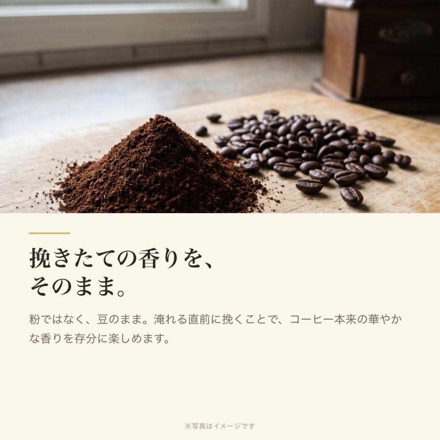 イリー ブレンド豆 選べる1種 6個 illy  ミディアムロースト ダークロースト デカフェ ブレンド コーヒー豆 まとめ買い ランキング ポイント消化 爆買 | illy | 05