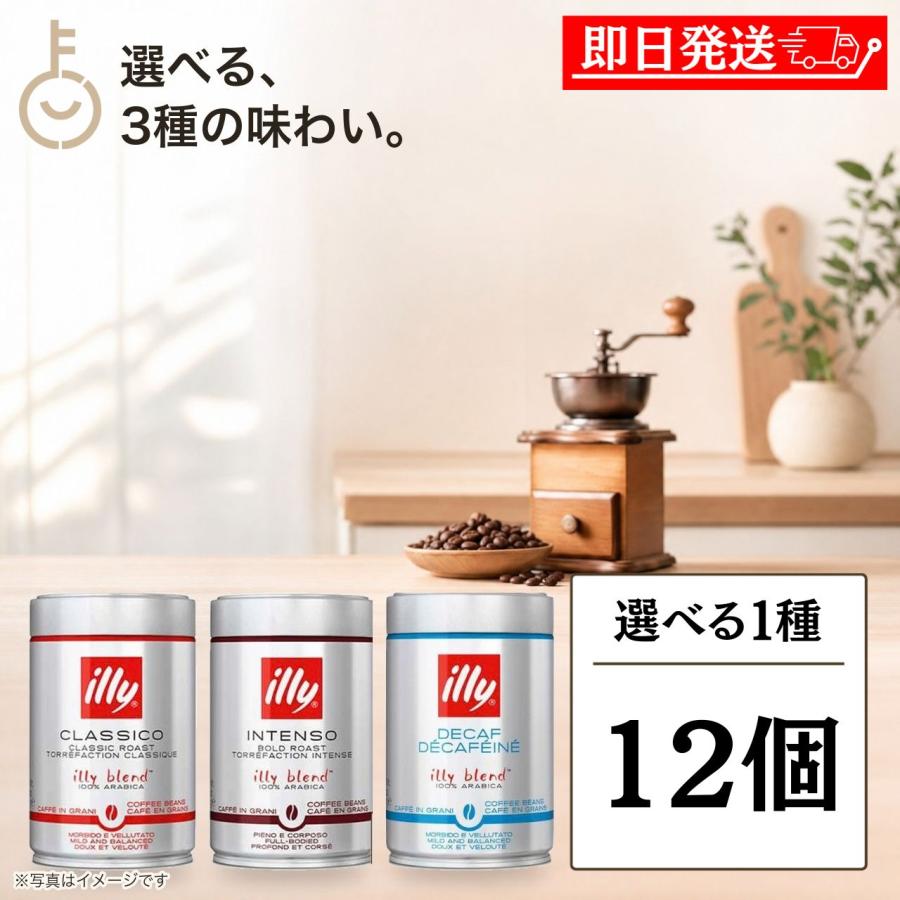 illy（イリー） ブレンド豆 選べる1種 12個 ミディアムロースト ダーク 