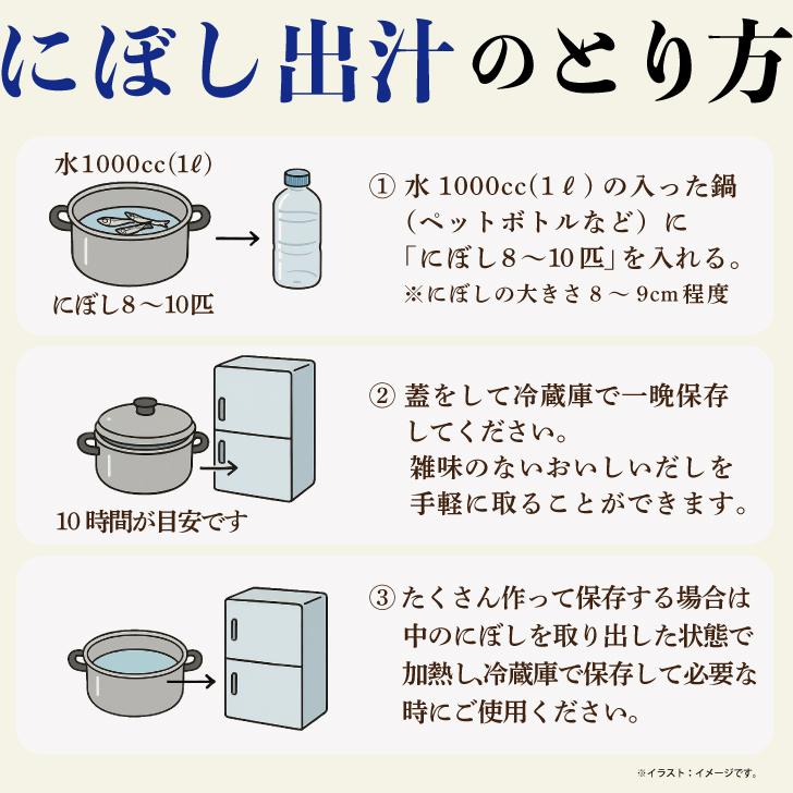 サカモト 塩無添加にぼし 100g 20個 保存料 酸化防止剤 化学調味料 無