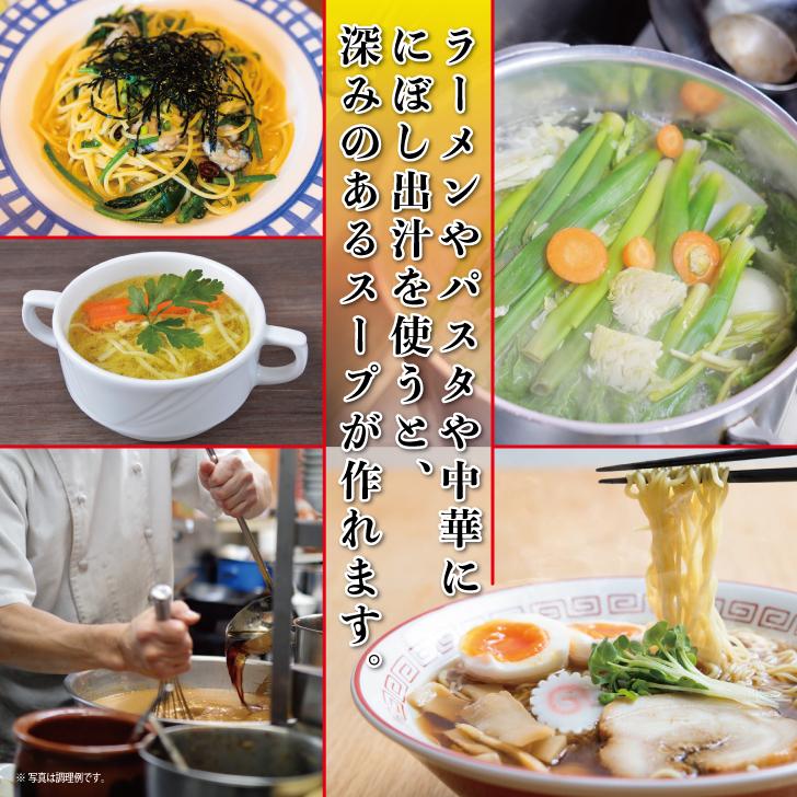 サカモト 塩無添加にぼし 100g 20個 保存料 酸化防止剤 化学調味料 無