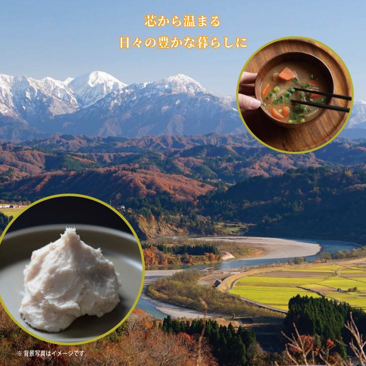 八海山酒造 ねり酒粕 300g 3個 酒粕 八海山 ねり酒かす 酒かす 粕 練り 練り物 使いやすい ペーストタイプ 熟成 まとめ買い ランキング ポイント消化 爆買 | 八海山 | 02