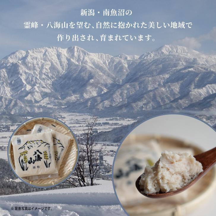 八海山酒造 ねり酒粕 300g 5個 酒粕 八海山 ねり酒かす 酒かす 粕 練り 練り物 使いやすい ペーストタイプ 熟成 まとめ買い ランキング ポイント消化 爆買 | 八海山 | 01