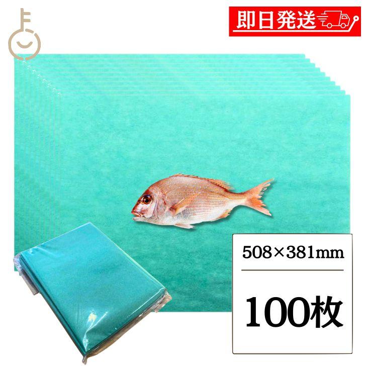 グリーンパーチ 100枚 508×381mm キッチンペーパー ペーパータオル コンパクト 魚を包む緑の紙 魚 グリーンパーチ紙 ポイント消化 爆買（Yahoo!・keyroom）