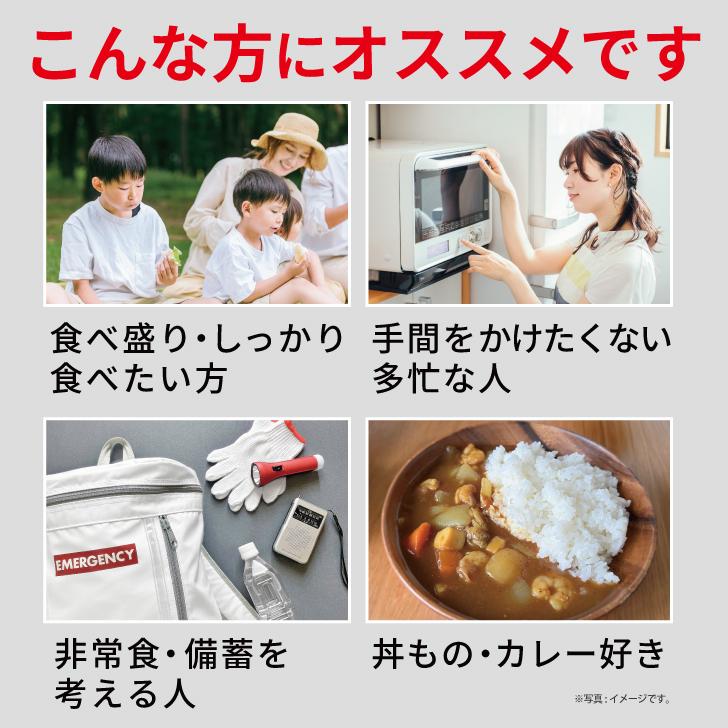 マルちゃん 東洋水産 あったかごはん大盛 250g 40個 パックごはん