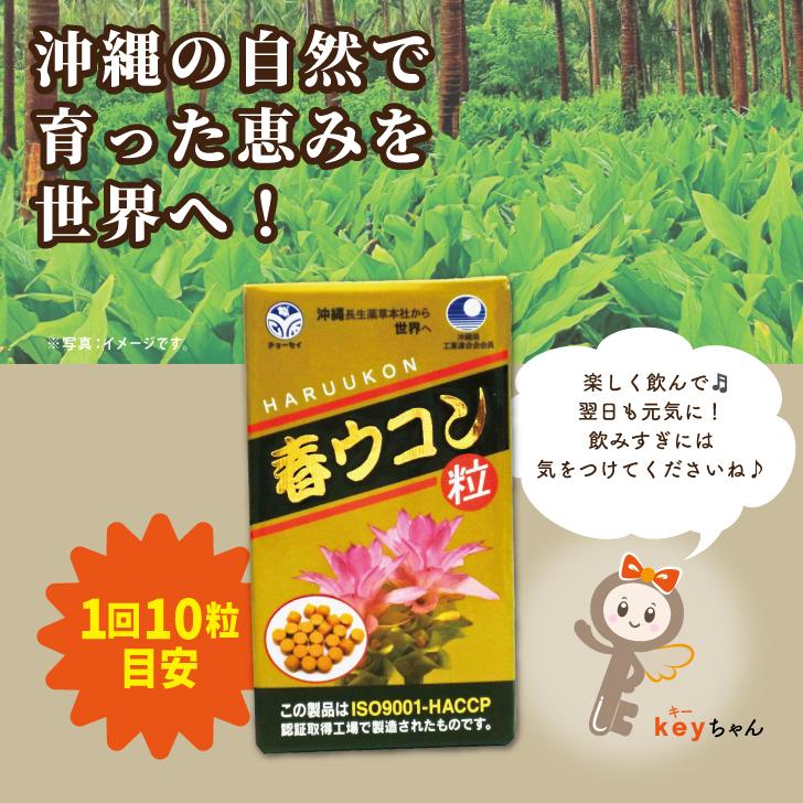 沖縄長生薬草本社 春ウコン 1000粒 10個 約330日分 ウコン粒 健康食品 