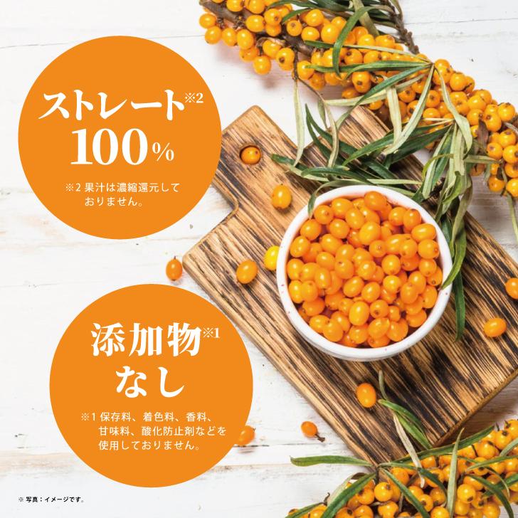 サジー ホージョー 輝きのサジー 500ml 1袋 ストレート果汁100