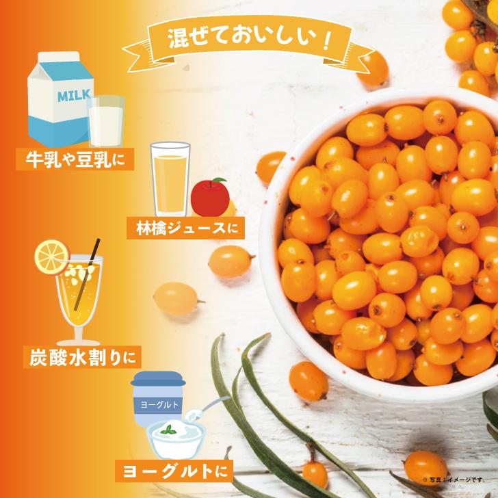 サジー ホージョー 輝きのサジー 500ml 10袋 ストレート果汁100%ジュース 保存料 香料 着色料 無添加 博多トレーディング サジージュース ポイント消化 爆買の画像
