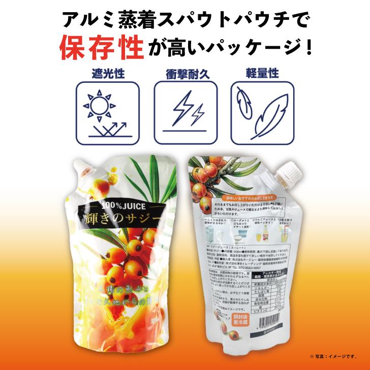 サジー ホージョー 輝きのサジー 500ml 10袋 ストレート果汁100%ジュース 保存料 香料 着色料 無添加 博多トレーディング サジージュース ポイント消化