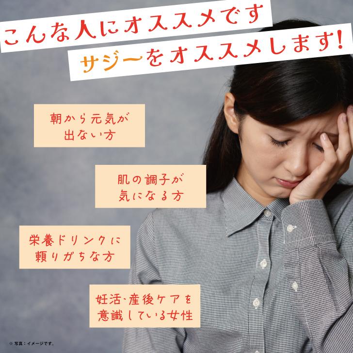 サジー ホージョー 輝きのサジー 500ml 20袋 ストレート果汁100%ジュース 保存料 香料 着色料 無添加 博多トレーディング サジージュース ポイント消化 爆買の画像