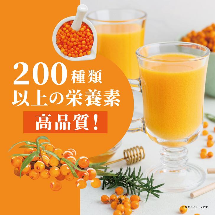 サジー ホージョー 輝きのサジー 500ml 20袋 ストレート果汁100%ジュース 保存料 香料 着色料 無添加 博多トレーディング サジージュース ポイント消化 爆買の画像