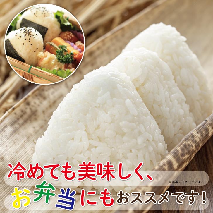 ご注文後に精米します！令和7年産 新米 2025年産】 岐阜県 飛騨産