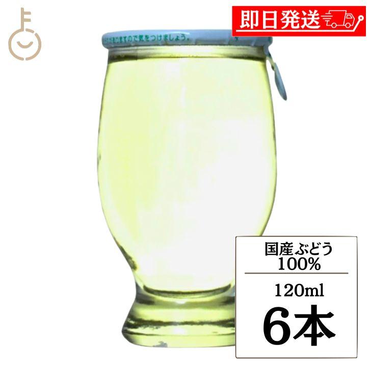 林農園 五一わいん カップワイン 白 120ml 6本 ワインカップ 白ワイン 日本ワイン 国産ワイン 飲みきりミニサイズ ポイント消化 爆買 | 