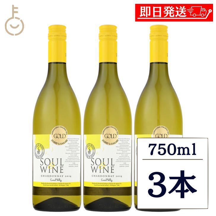 金賞受賞ワイン TOMOE ソウル & ワイン シャルドネ 白 辛口 750ml 3本 白ワイン 辛口ワイン チリ チリワイン しろ デイリー ギフト 手土産 詰め合わせ 爆買 | 