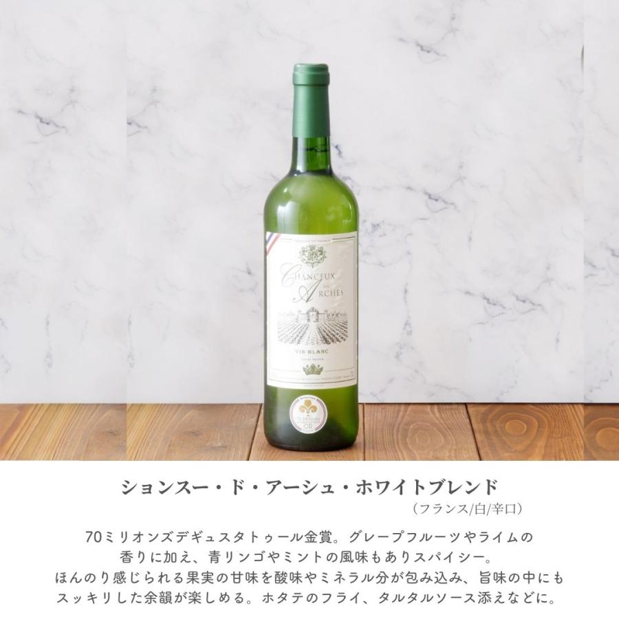 フランス 金賞受賞 ワイン 6本セット (赤3本・白3本) 送料無料 専門家厳選 豪華 飲み比べセット 赤ワイン 白ワイン スパークリング 泡入り 辛口 フルボディ 爆買 |  | 03