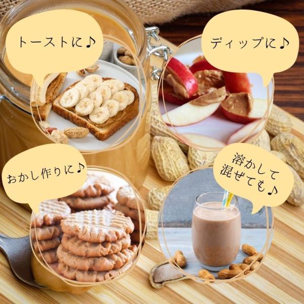 ALISHAN（アリサン） ピーナッツバター クランチ 454g 2個 有機