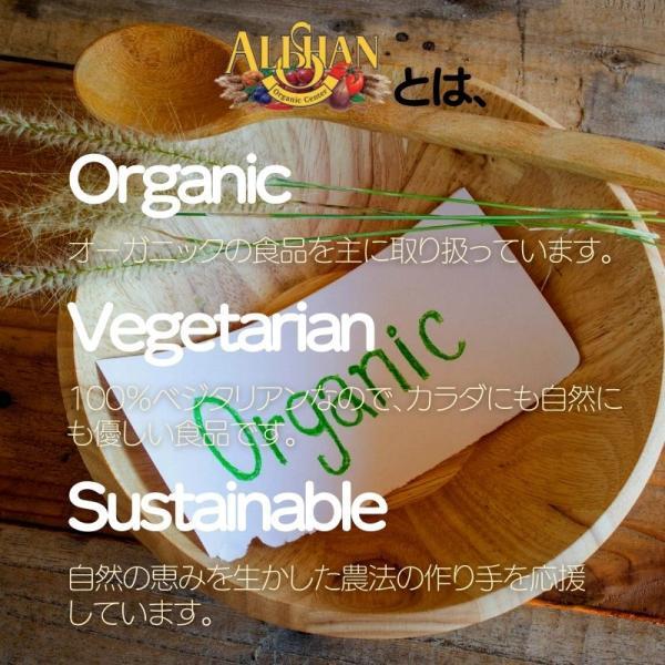 ALISHAN（アリサン） ピーナッツバター クランチ 454g 2個 有機