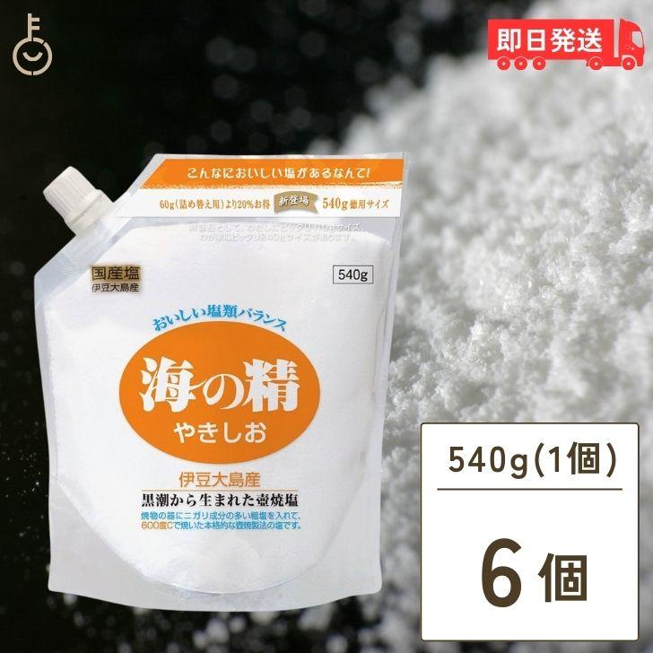 海の精 やきしお スタンドパック 540g 6袋 塩 まとめ買い ランキング ポイント消化 爆買 父の日 お中元