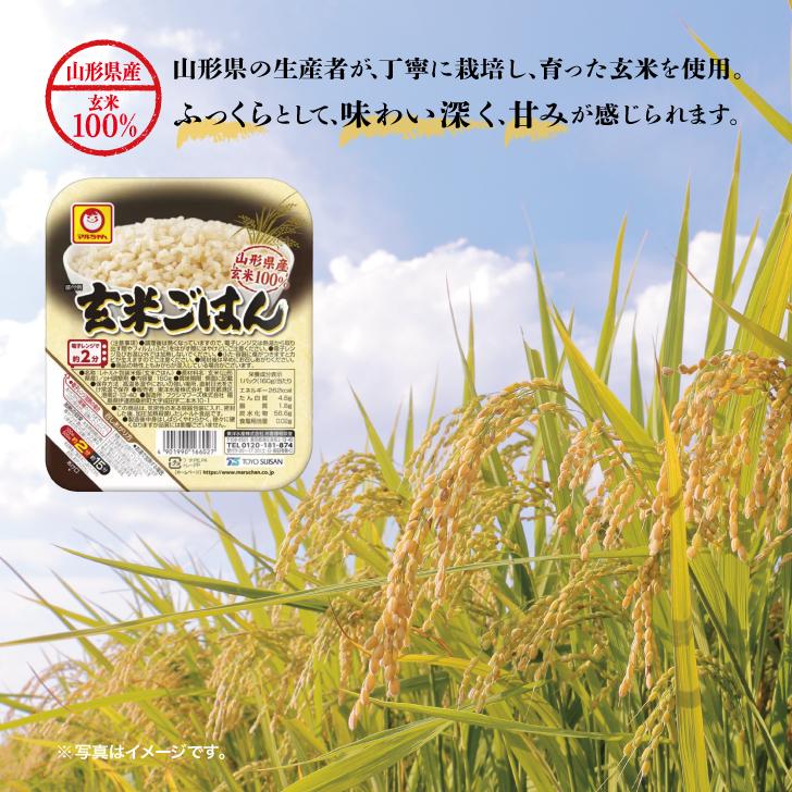 マルちゃん 玄米ごはん 160g 20個 東洋水産 国産 レンジ レトルト