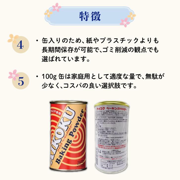 アイコク ベーキングパウダー 100g 1個 AIKOKU 愛国 アルミフリー 膨脹