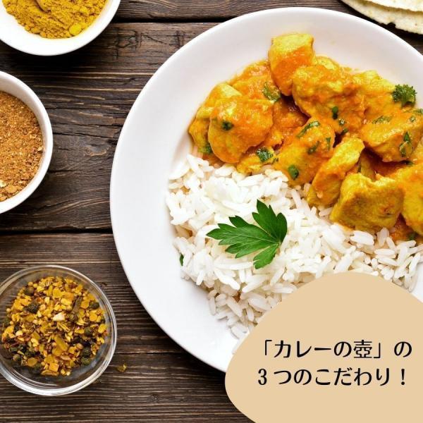 第3世界ショップ カレーの壺 マイルド 220g 1個 やさい シーフード チキン カレーペースト カレールー｜keyroom｜02