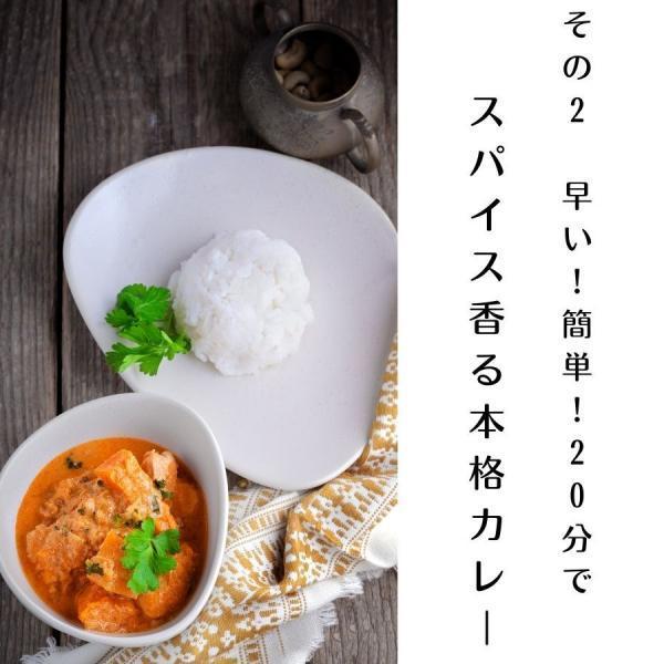 第3世界ショップ カレーの壺 マイルド 220g 1個 やさい シーフード チキン カレーペースト カレールー｜keyroom｜04