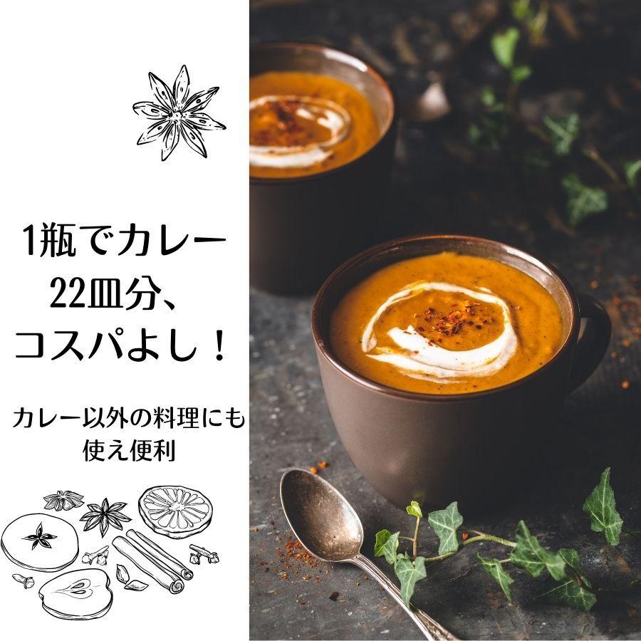 第3世界ショップ カレーの壺 220g 3種 アソート マイルド スパイシー オリジナル やさい ベジタリアン シーフード チキン カレーペースト カレールー|keyroom|06