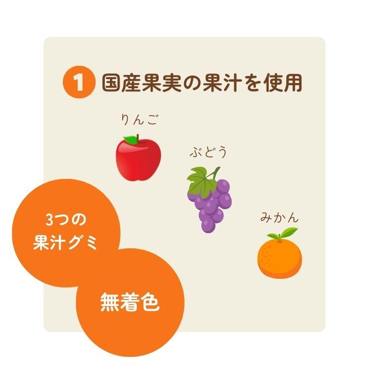 創健社 くせになるこだわりのグミ 15粒 お菓子 国産果実果汁 ナチュラル 天然 無添加｜keyroom｜03