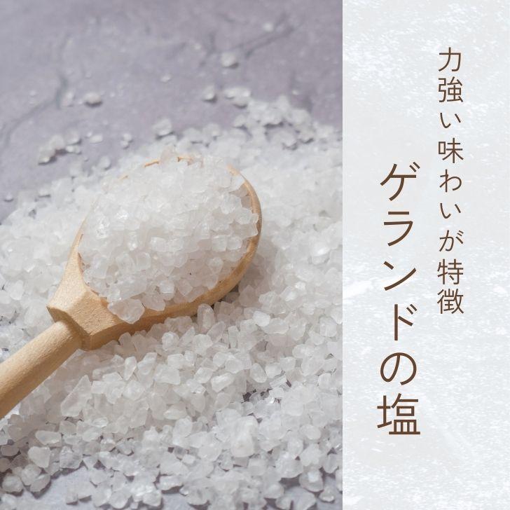 ゲランドの塩 セルマランドゲランド あら塩 1kg 2個 粗塩 調味料 塩 ソルト あらじお :keyroom-10002233 ...