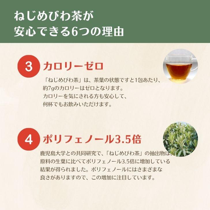 十津川農場 ねじめびわ茶 2g*24包入 根占枇杷茶 鹿児島大学 まとめ買い