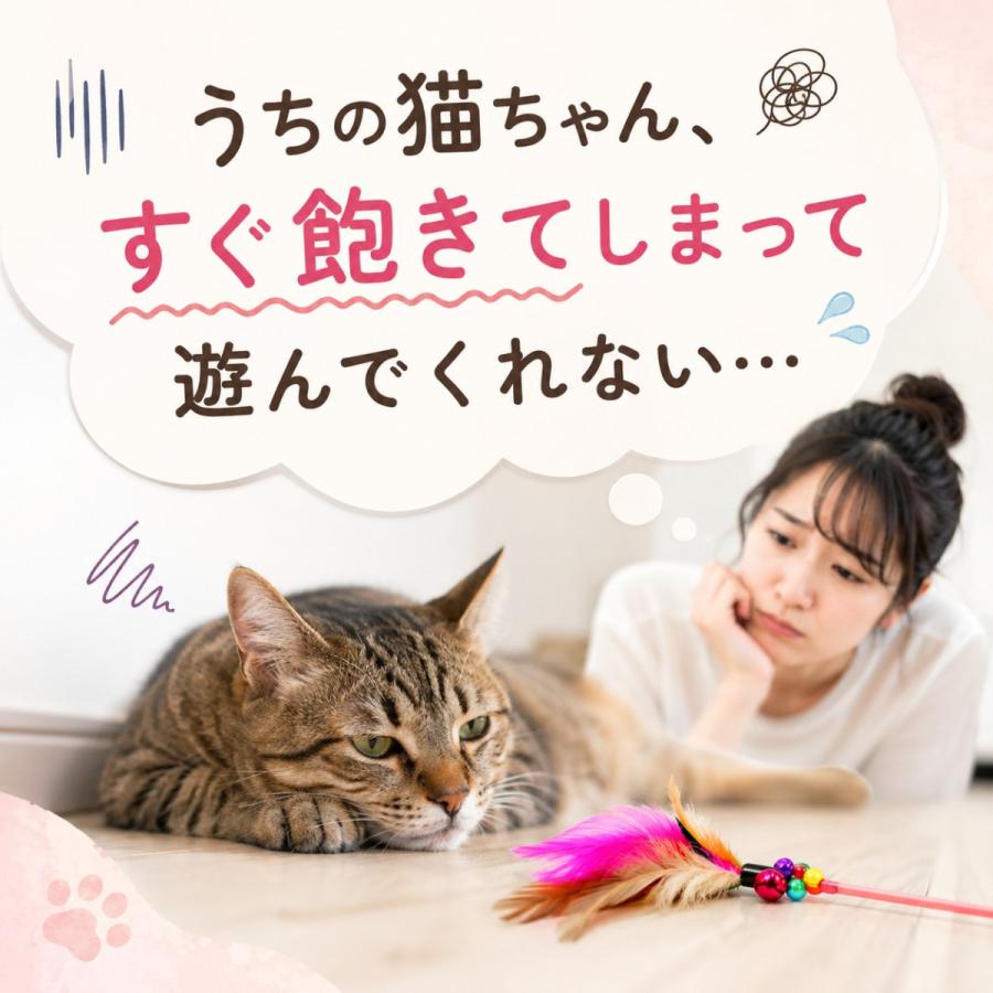 ねこじゃらし 猫のおもちゃ 20個入り バラエティパック 猫 おもちゃ 鈴 ボール ねずみ 羽 シャカシャカ 猫用品 ペット用品 |  | 02