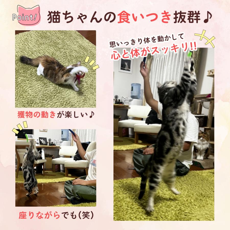 猫 おもちゃ 猫じゃらし ねこじゃらし 【11点セット】 猫おもちゃ 猫グッズ 猫用おもちゃ ボール 猫用品 運動 ひも ねこ 遊び ネコおもちゃ 鳥の羽 鳥のハネ |  | 14
