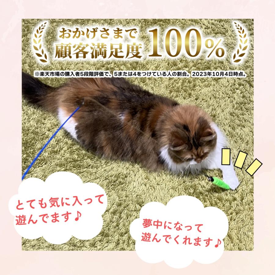 猫 おもちゃ 猫じゃらし ねこじゃらし 【11点セット】 猫おもちゃ 猫グッズ 猫用おもちゃ ボール 猫用品 運動 ひも ねこ 遊び ネコおもちゃ 鳥の羽 鳥のハネ |  | 15
