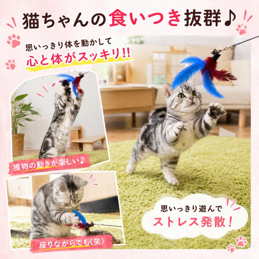 【猫】おもちゃ詰め合わせ① 猫 おもちゃ 猫じゃらし ねこじゃらし 【11点セット】 猫おもちゃ 猫