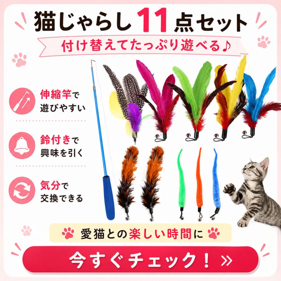 猫 おもちゃ 猫じゃらし ねこじゃらし 【11点セット】 猫おもちゃ 猫グッズ 猫用おもちゃ ボール 猫用品 運動 ひも ねこ 遊び ネコおもちゃ 鳥の羽 鳥のハネ |  | 06