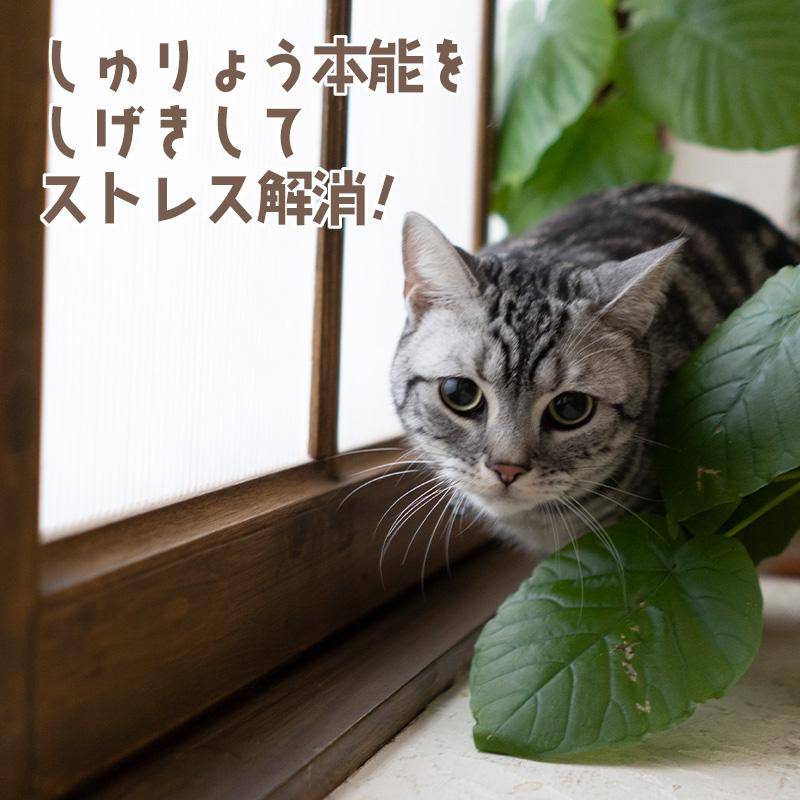 猫 おもちゃ ぬいぐるみ 一人遊び ネコ 雑貨 グッズ 猫のおもちゃ 人形 抱き枕 ペット用品 インスタ映え 柔らかい 可愛い ねずみのぬいぐるみ3個セット｜keytail｜07