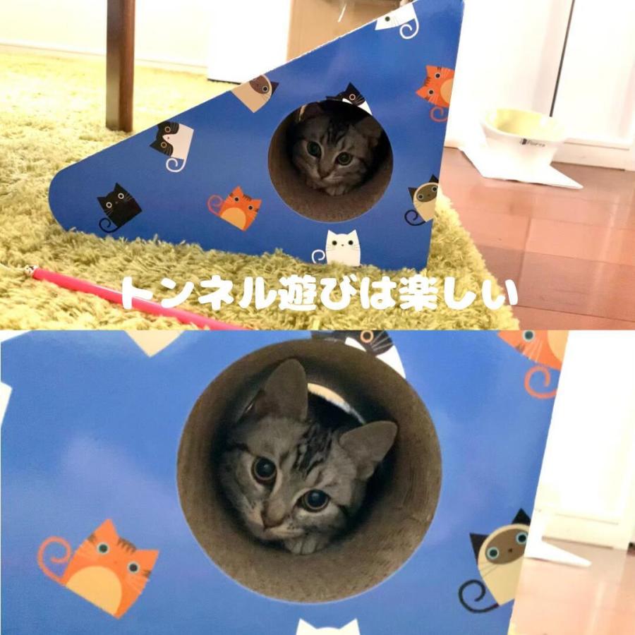 爪とぎ 猫 おしゃれ ダンボール 爪研ぎ 対策 段ボール ベッド つめとぎ ハウス ブルー イエロー 猫用品 ネコ にゃんネイル ねこ坂 Cp 427 猫の爪とぎ専門店 キーテイル 通販 Yahoo ショッピング