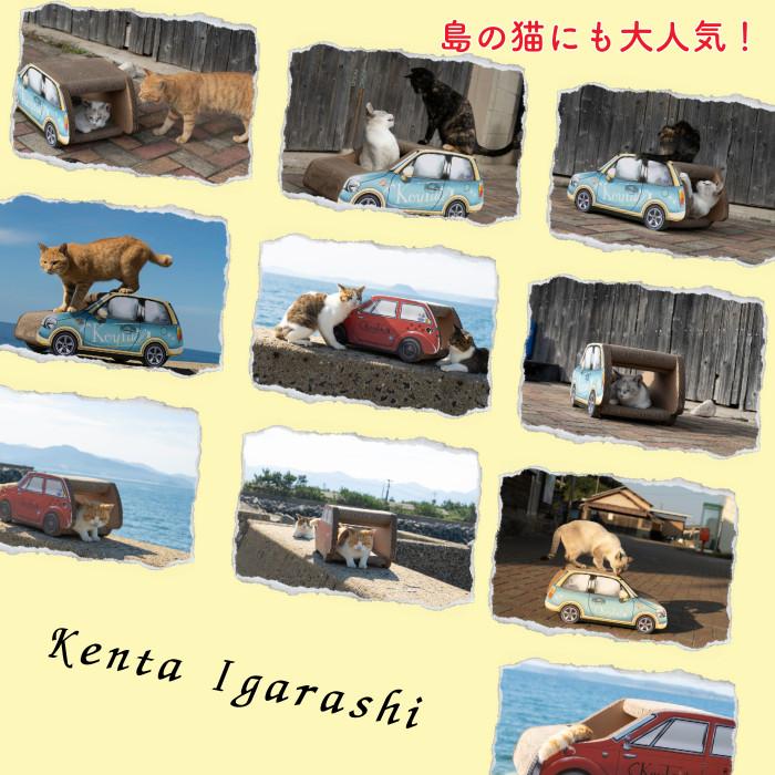 猫 爪とぎ 車 猫の爪とぎ 猫爪とぎ 爪研ぎ ダンボール ベッド 猫爪研ぎ つめとぎ ベッド 猫用爪とぎ 猫グッズ 猫の爪とぎ 猫用品 | KeyTail | 15