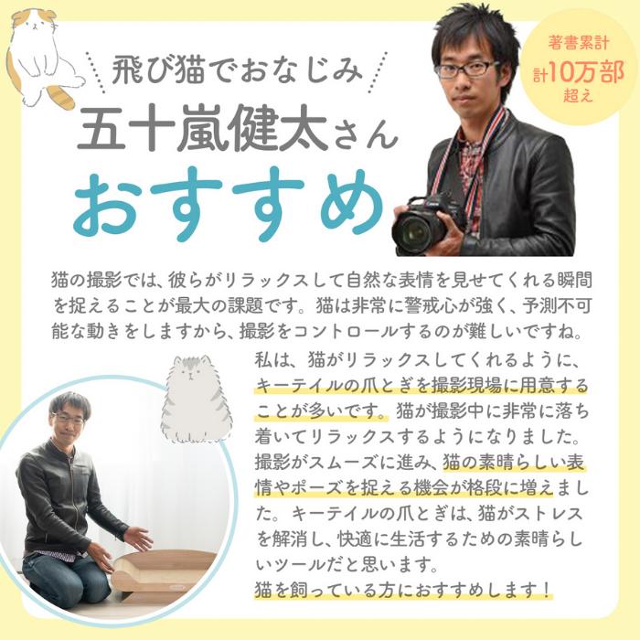 猫 爪とぎ 車 猫の爪とぎ 猫爪とぎ 爪研ぎ ダンボール ベッド 猫爪研ぎ つめとぎ ベッド 猫用爪とぎ 猫グッズ 猫の爪とぎ 猫用品 | KeyTail | 17