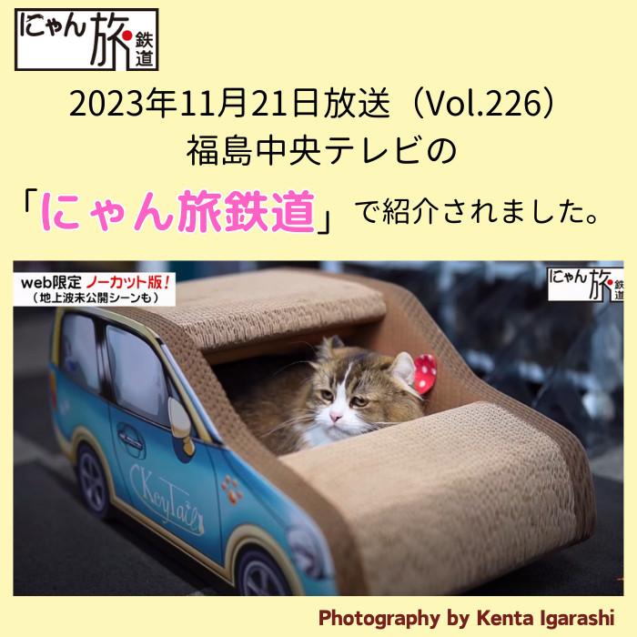 猫 爪とぎ 車 猫の爪とぎ 猫爪とぎ 爪研ぎ ダンボール ベッド 猫爪研ぎ つめとぎ ベッド 猫用爪とぎ 猫グッズ 猫の爪とぎ 猫用品 | KeyTail | 05