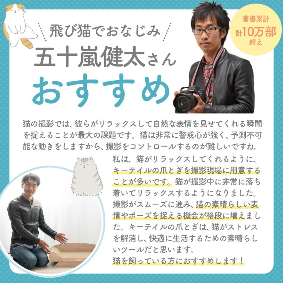 猫 爪とぎ 車 猫の爪とぎ 猫爪とぎ 爪研ぎ ダンボール ベッド 猫爪研ぎ つめとぎ ベッド 猫用爪とぎ 猫グッズ 猫の爪とぎ 猫用品 | KeyTail | 11