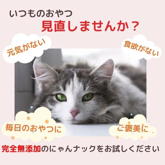 キャットフード 猫 おやつ まぐろ＆ささみセット 計2パック にゃんナック 国産品 無添加 無着色 グレインフリー 猫用品 にゃんナック 餌 ネコ キーテイル | KeyTail | 02